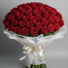 Букет 101 Красная роза Блэк Мэджик в Колывани