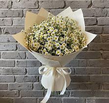 Букет цветов из:  Ромашки в Колывани