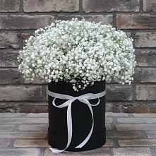 Цветочная композиция из Гипсофила в шляпной коробке в Колывани