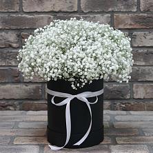 Цветочная композиция из Гипсофила в шляпной коробке в Колывани