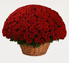 Премиум букет из: Розы в Колывани